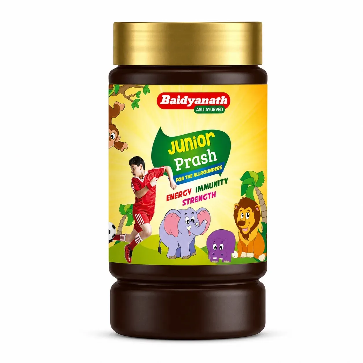 Чаванпраш Детский 1 кг Baidyanath Junior Chyawanprash