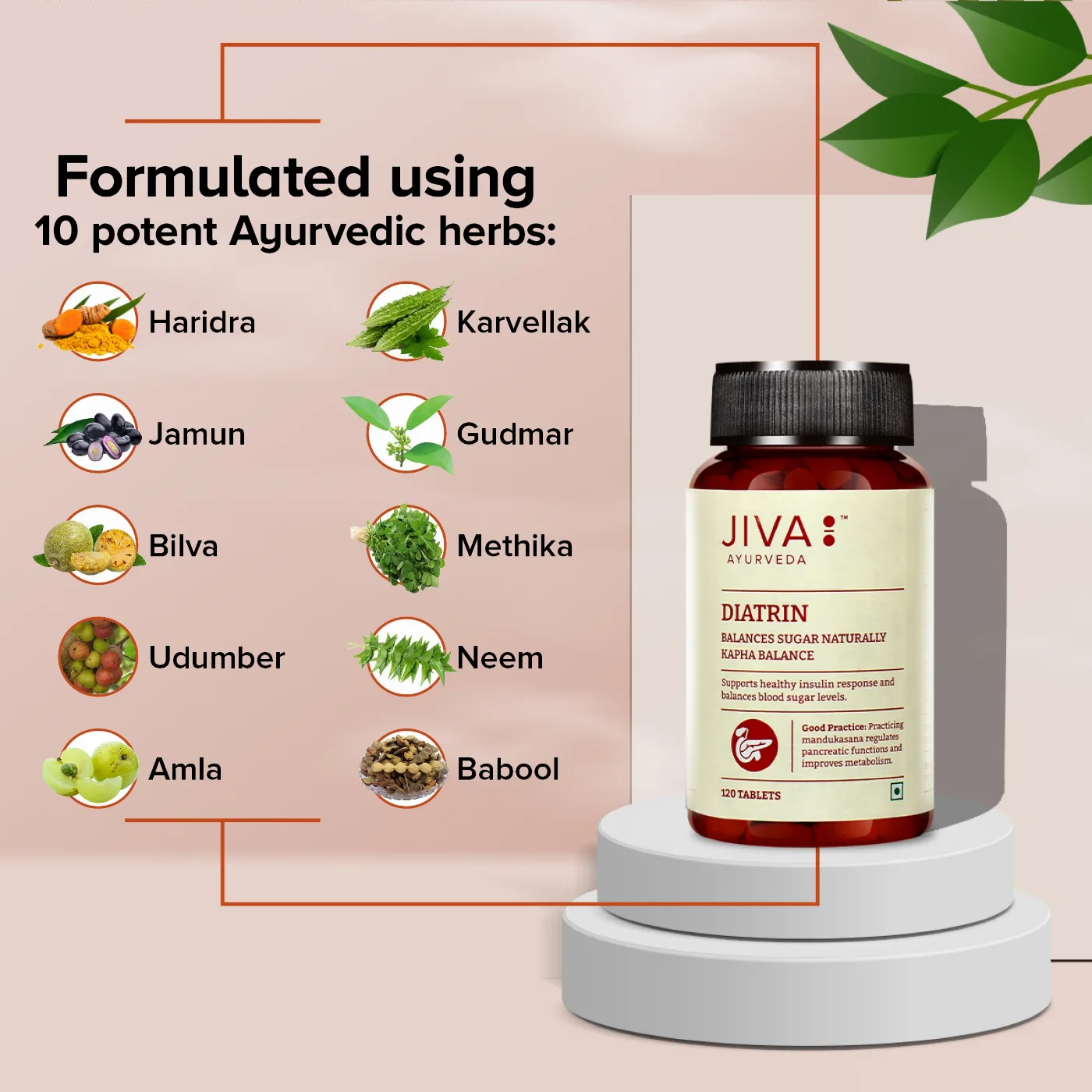 Діатрін 120 табл Jiva Ayurveda Diatrin 120 tab