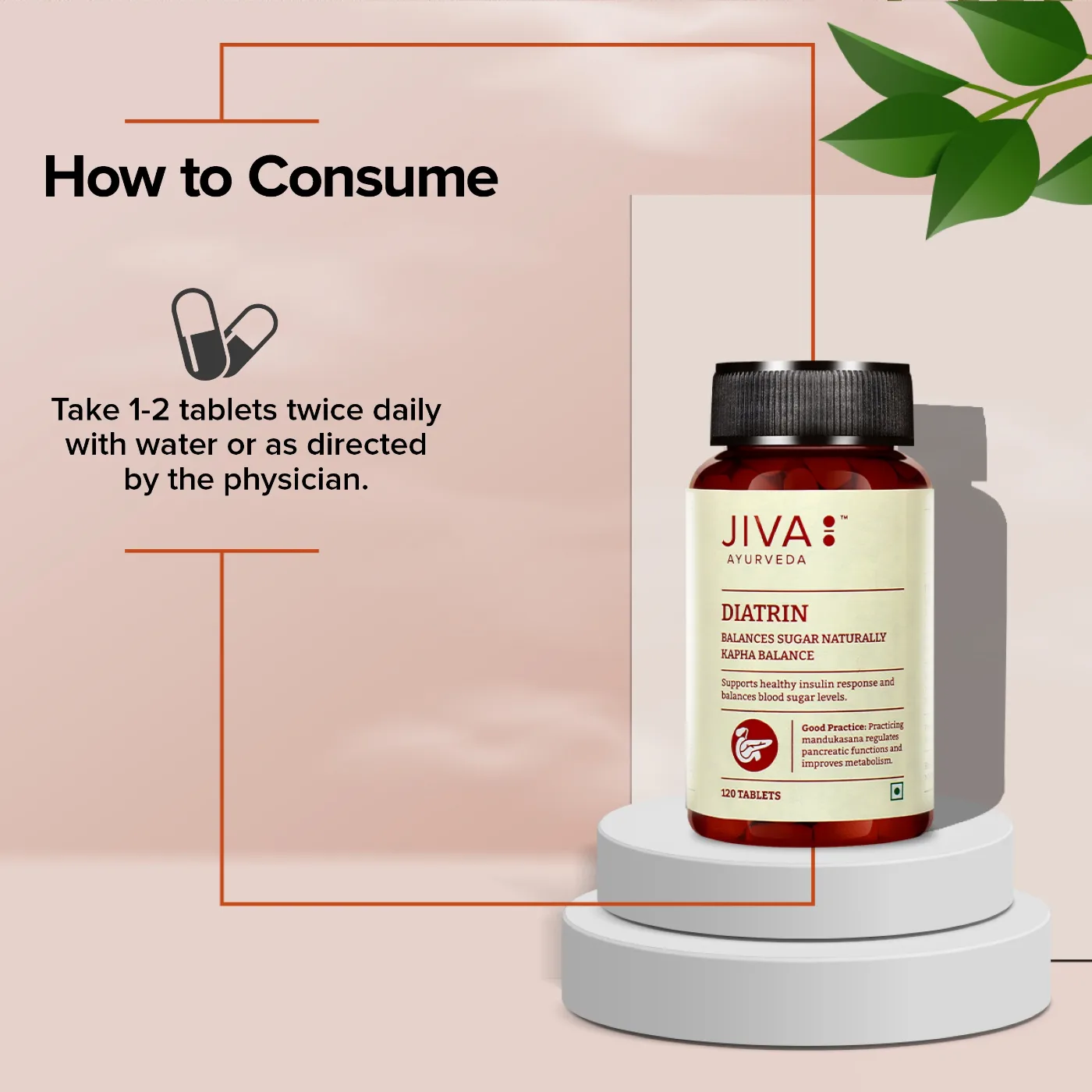 Діатрін 120 табл Jiva Ayurveda Diatrin 120 tab