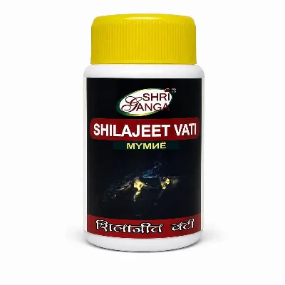 Шиладжит Мумие 150 табл Shri Ganga Shilajeet Vati 150 tab
