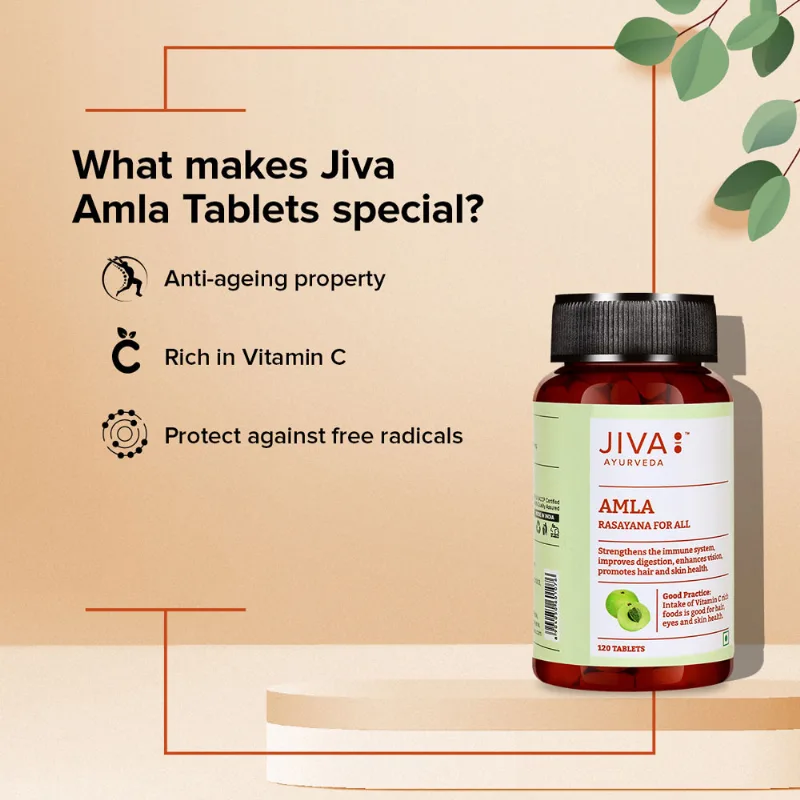 Амла 120 табл Jiva Amla 120 tab