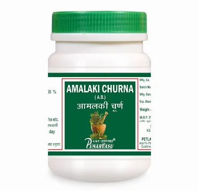 Амалаки порошок 100 г Punarvasu Amalaki Churna
