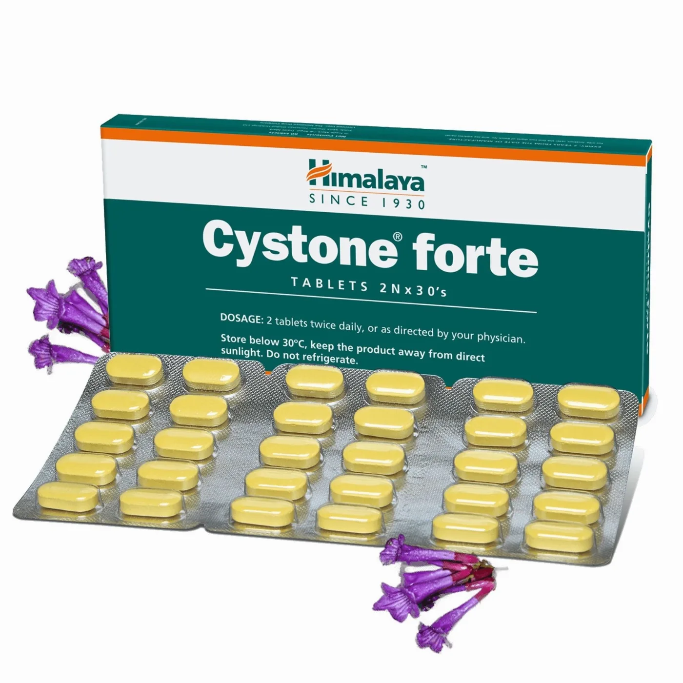 Цистон Форте 60 табл Himalaya Cystone Forte
