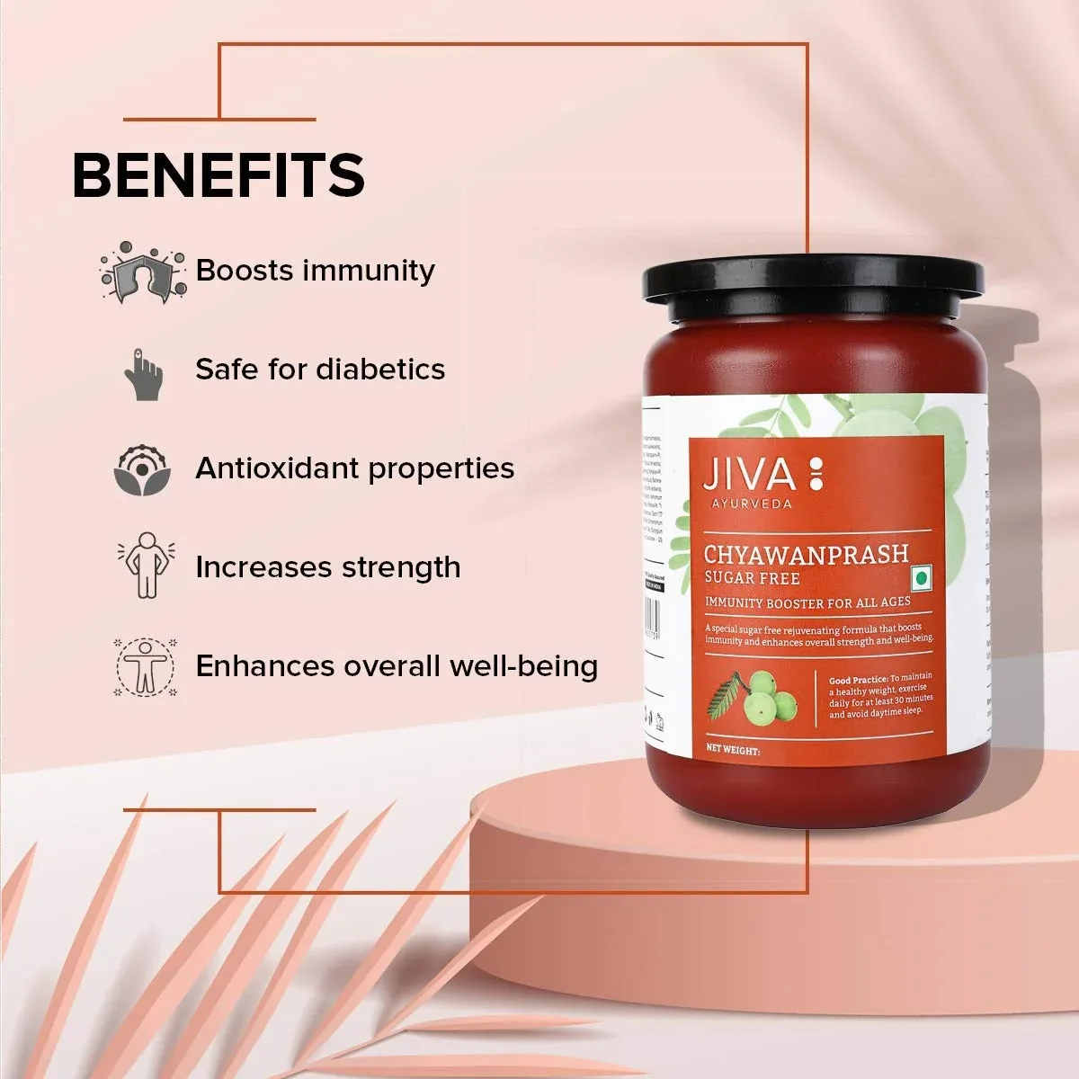 Чаванпраш без цукру 500 г Jiva Sugar Free Chyawanprash