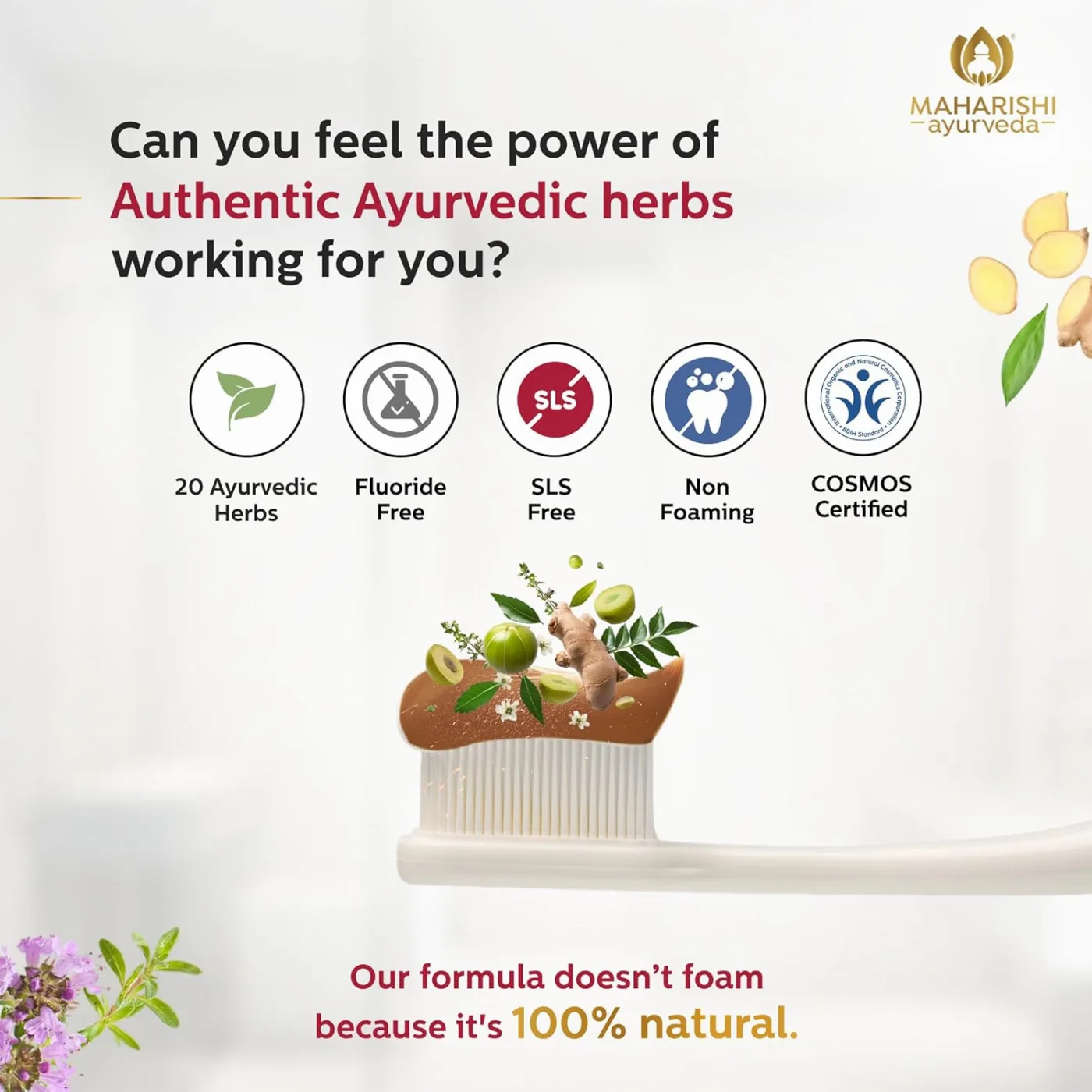 Зубна паста Аюрдент Класік 75 мл Maharishi Ayurveda Ayurdent Classic