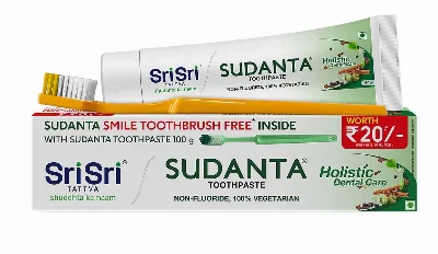 Зубная паста Суданта 100 г + щетка Sri Sri Ayurveda Sudanta Toothpaste