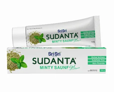 Гелева зубна паста Суданта М'ятний фенхель 150 г Sri Sri Ayurveda Sudanta Minty Saunf Gel Toothpaste