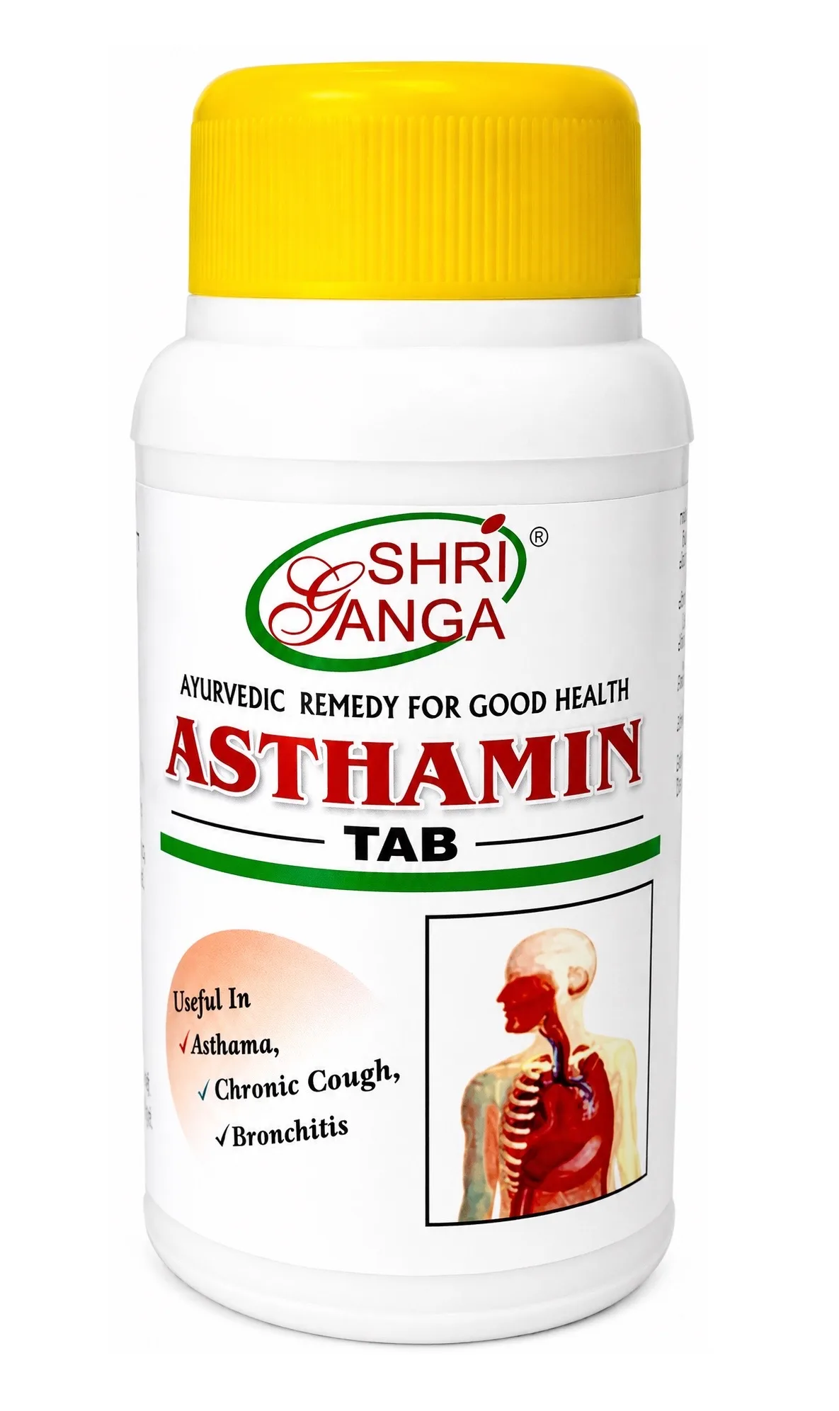 Астамін 100 табл Shri Ganga Asthamin