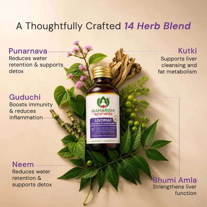 Сироп Ливомап 200 мл Maharishi Ayurveda Livomap Syrup