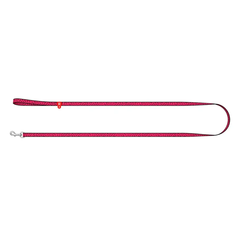 Повідець для собак нейлоновий «Кавун», XS WAUDOG Nylon Leash Watermelon