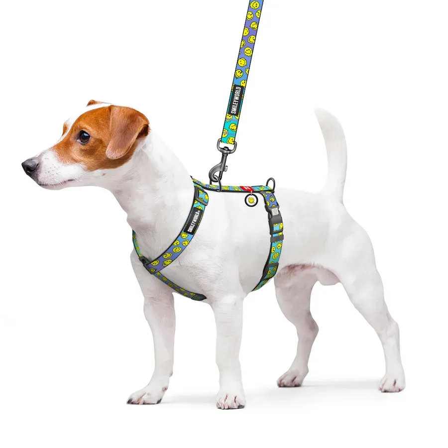 Шлея для собак анатомическая H-образная «Смайлы на голубом», XL WAUDOG Nylon Anatomic Harness Smileys on Blue