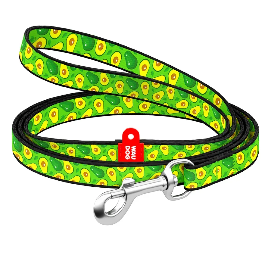 Повідець для собак нейлоновий «Авокадо», XS WAUDOG Nylon Leash Avocado
