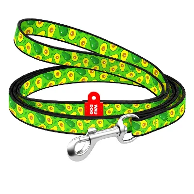 Поводок для собак нейлоновый «Авокадо», XS WAUDOG Nylon Leash Avocado