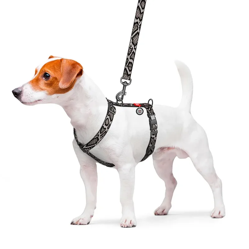 Шлея для собак анатомическая H-образная «Змея», M WAUDOG Nylon Harness Snake
