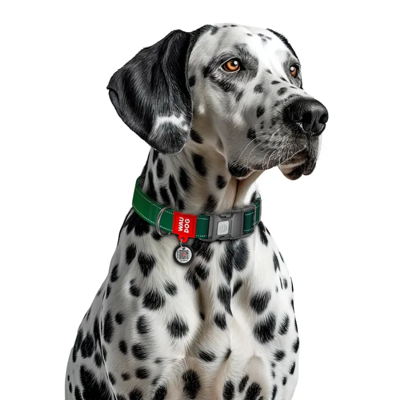 Ошейник для собак нейлоновый, светоотражающий, M, зеленый WAUDOG Nylon Mono Collar