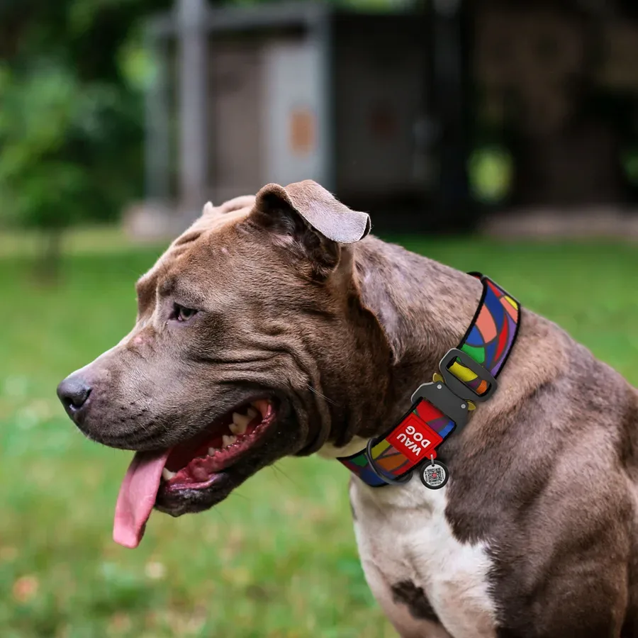 Ошейник для собак нейлоновый «Витраж», XXL WAUDOG Nylon Collar Stained Glass