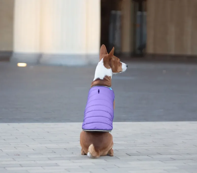 Курточка-накидка для собак, M, фиолетовый AiryVest Dog Cape Jacket
