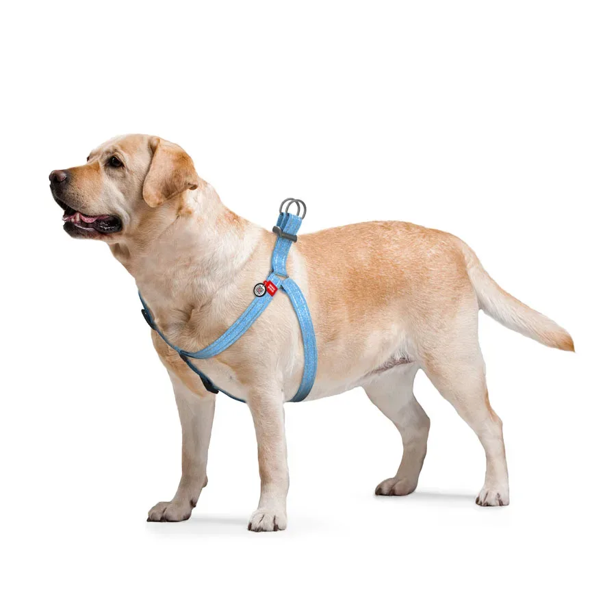 Шлея з відновленої бавовни, світловідбивна, S, блакитний WAUDOG Re-cotton Harness