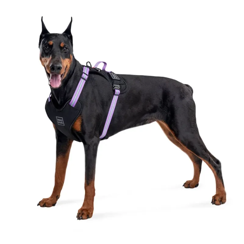 Шлея для собак безпечна, M, фіолетовий WAUDOG Nylon Harness