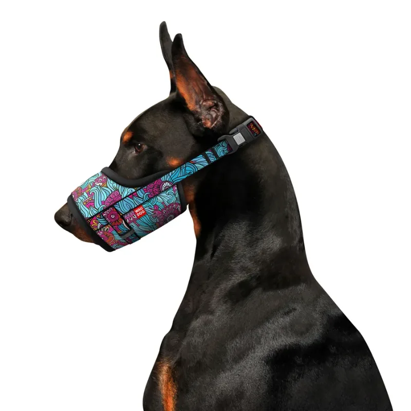 Намордник для собак, О 19-26 см «Літо», №2 WAUDOG Nylon Muzzle Summer