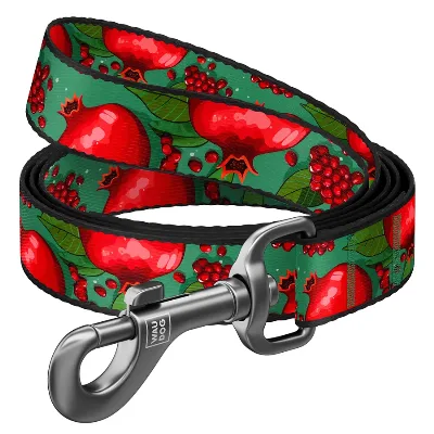 Поводок для собак нейлоновый «Гранаты», 25 мм × 300 см, L-XXL WAUDOG Nylon Leash Pomegranates