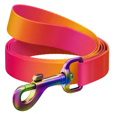 Повідець для собак з нейлону, градієнт, L-XXL, помаранчевий WAUDOG Nylon Recycled Leash