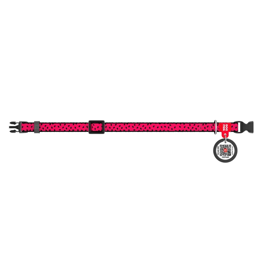 Нашийник для собак нейлоновий «Кавун», XS WAUDOG Nylon Collar Watermelon