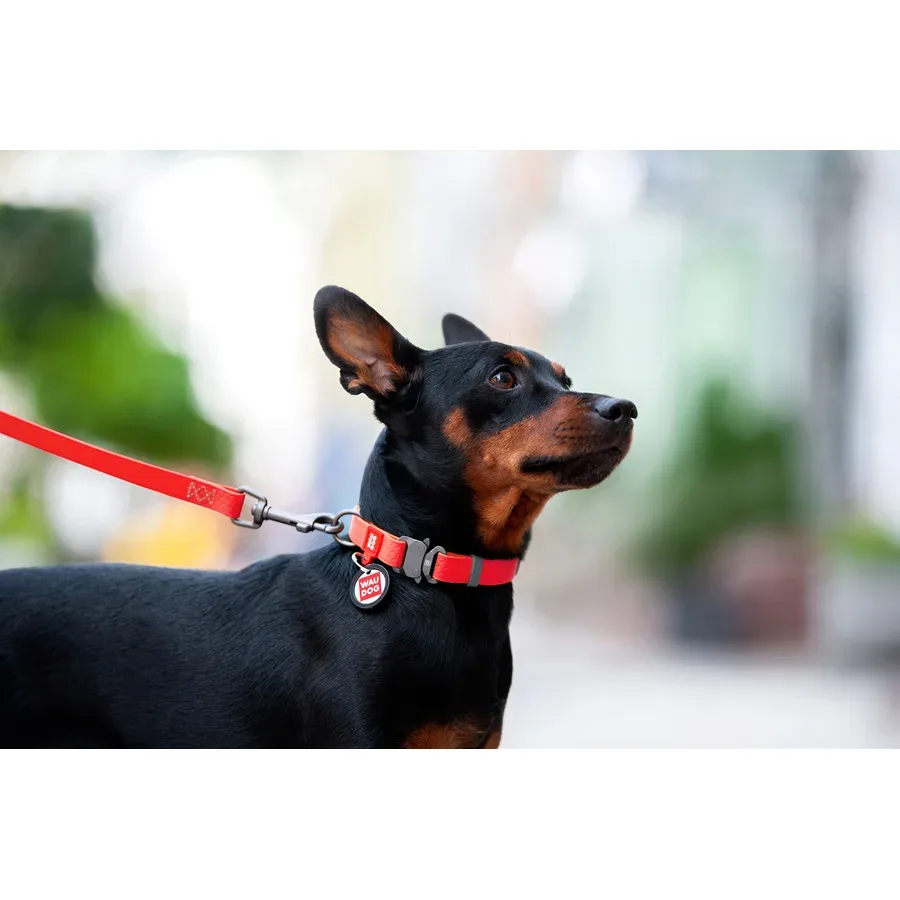 Нашийник для собак водостійкий, металева пряжка, XL, червоний WAUDOG Waterproof Collar