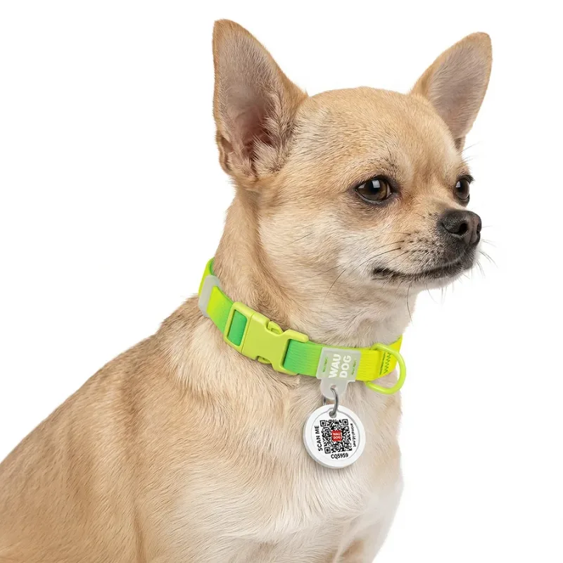 Нашийник для собак з нейлону з QR адресником, градієнт, XS, салатовий WAUDOG Nylon Recycled Collar