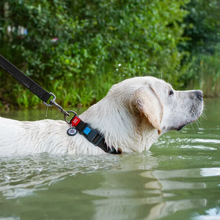 Ошейник для собак водостойкий, пластиковая пряжка, XL, черный WAUDOG Waterproof Collar