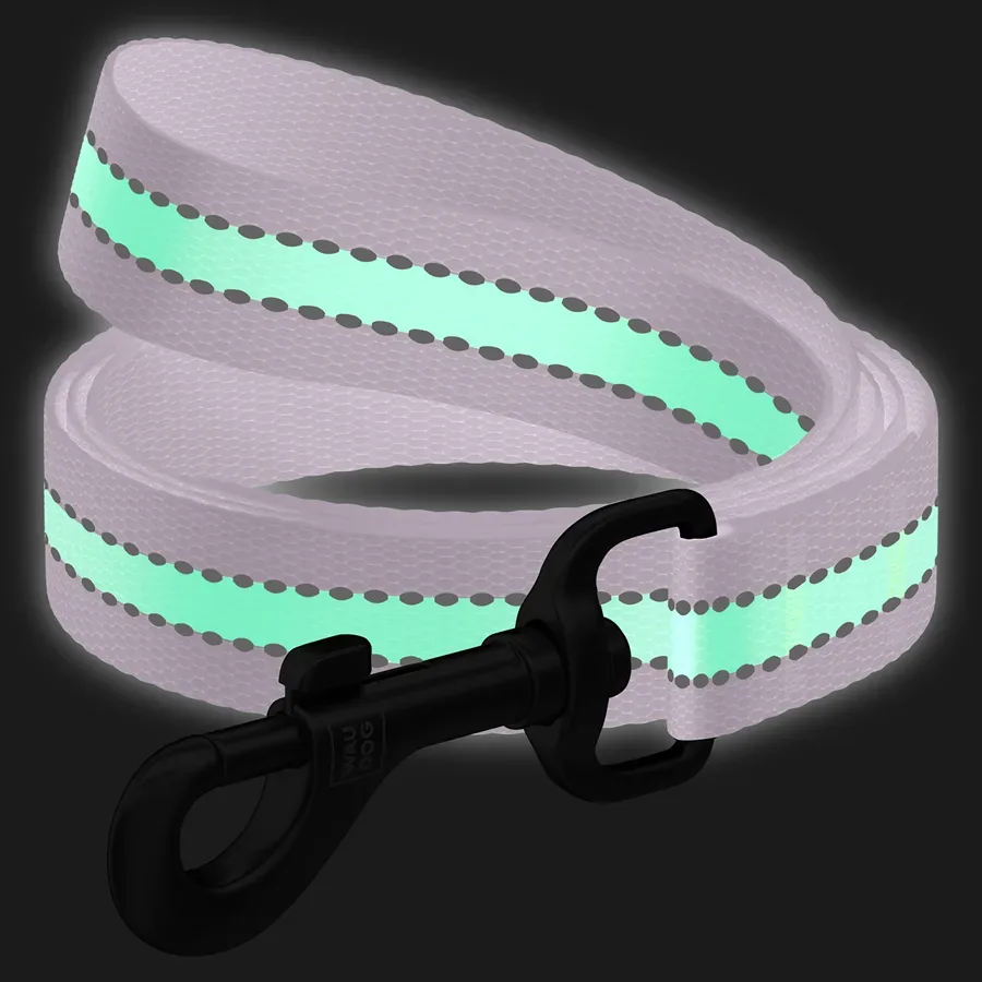 Повідець для собак нейлоновий, світонакоплювальний, S, фіолетовий WAUDOG Nylon Leash