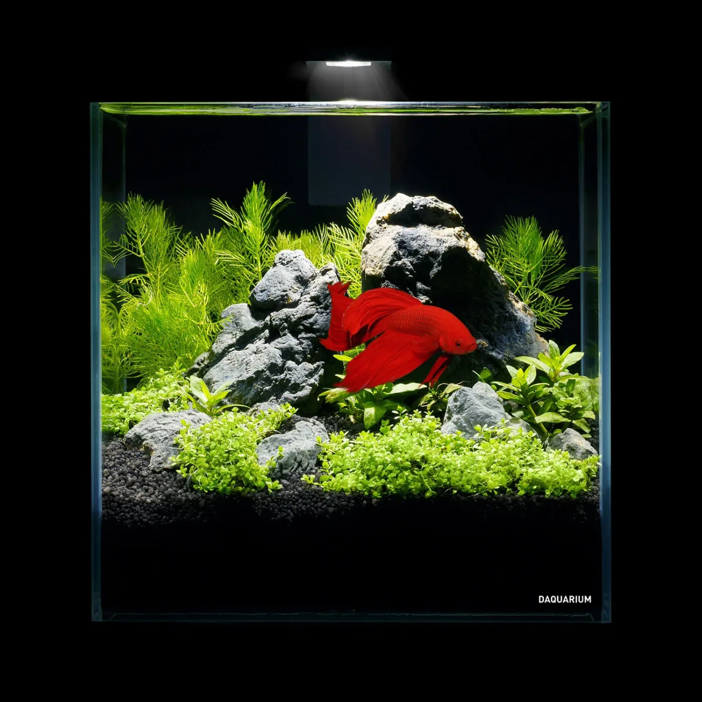 Комплект Pico Set 5 літрів AquaLighter Pico Aquarium Kit