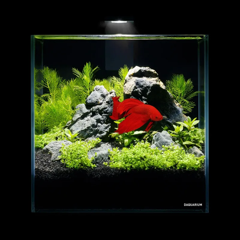 Комплект Pico Set 5 літрів AquaLighter Pico Aquarium Kit