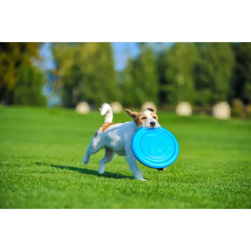 Ігрова тарілка для апортировки, блакитний PitchDog Flying Disc
