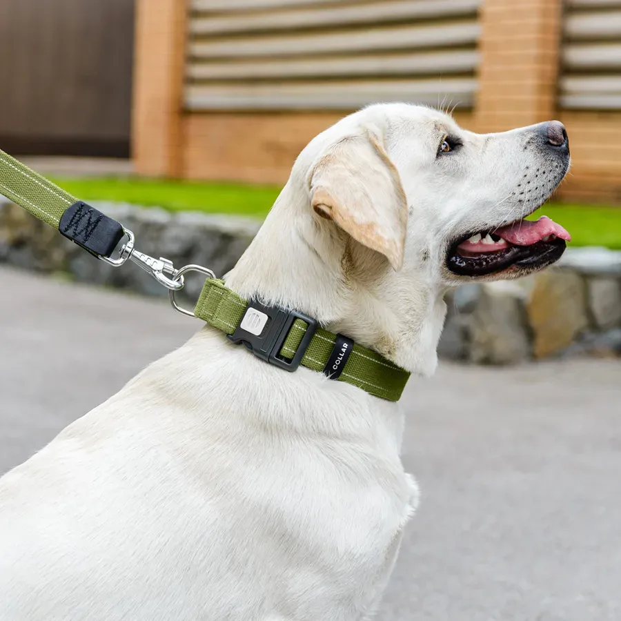 Ошейник для собак х/б тесьма Брезент, пластиковая пряжка, M Collar Canvas Collar