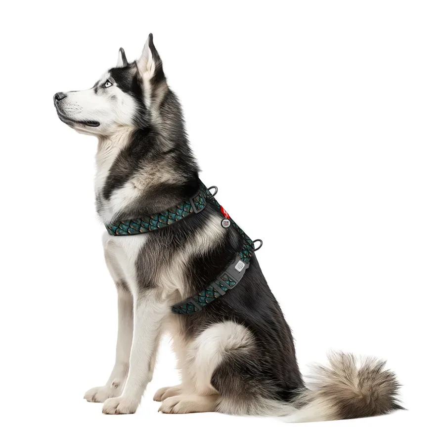 Шлея для собак анатомічна H-подібна «Луска», XL WAUDOG Nylon Harness Scales