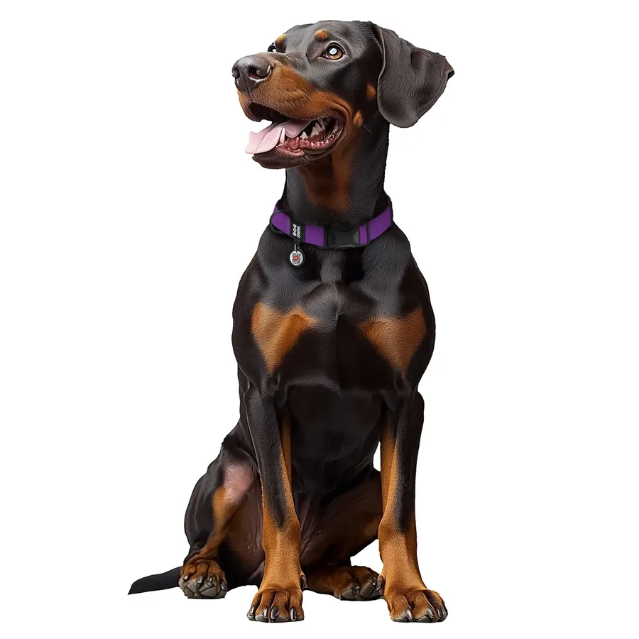 Ошейник для собак водостойкий, L, фиолетовый WAUDOG Magnet Collar
