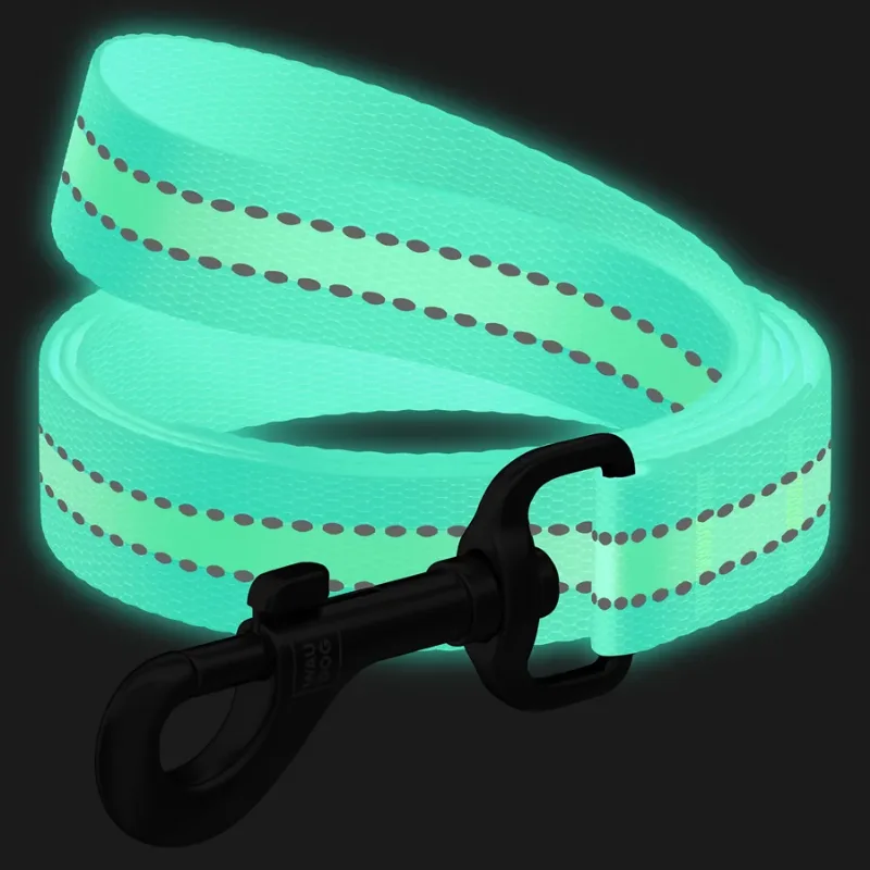 Повідець для собак нейлоновий, світонакоплювальний, M, блакитний WAUDOG Nylon Leash