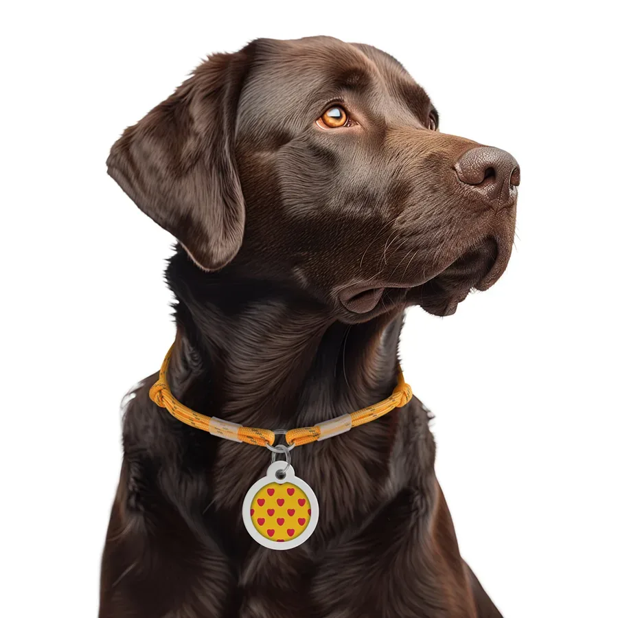Шнурок з паракорду для адресника, світловідбивний, M, золотий WAUDOG Smart ID Tag Cord