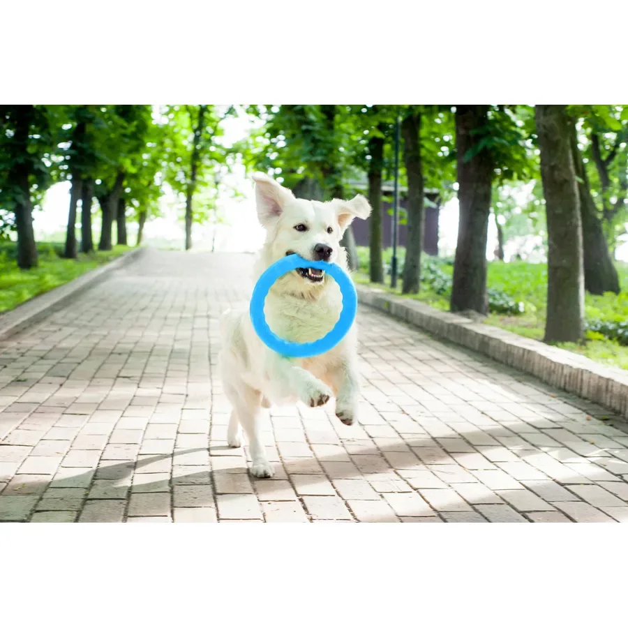 Кольцо для апортировки 30, голубой PitchDog Fetch Ring
