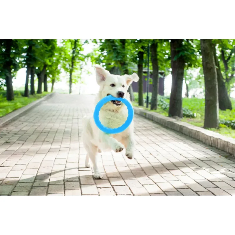 Кольцо для апортировки 30, голубой PitchDog Fetch Ring