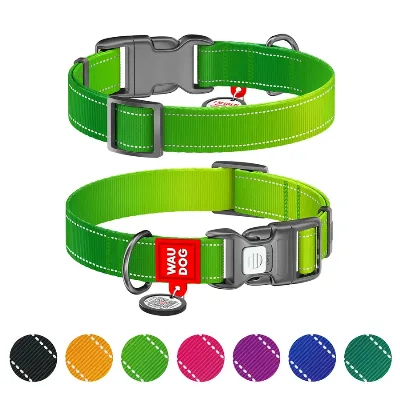 Нашийник для собак нейлоновий, світловідбивний, S, салатовий WAUDOG Nylon Mono Collar