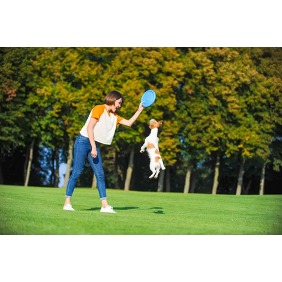 Ігрова тарілка для апортировки, рожевий PitchDog Flying Disc
