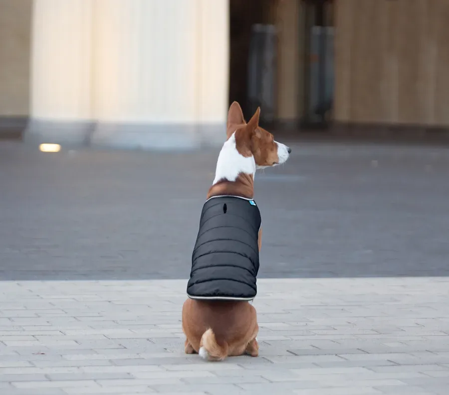 Куртка-накидка для собак, L, чорний AiryVest Dog Cape Jacket