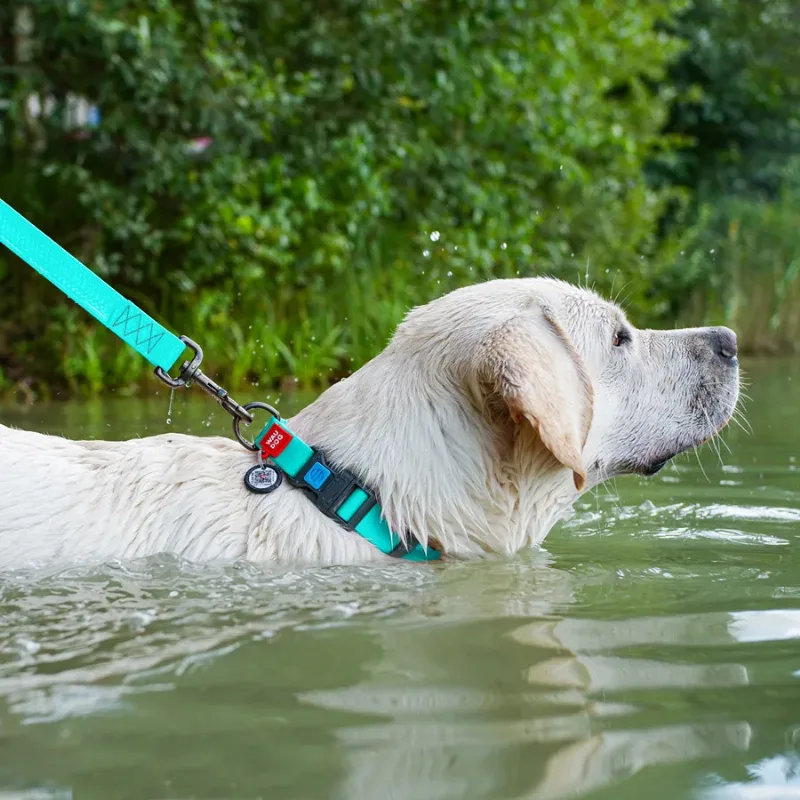 Ошейник для собак водостойкий, светящийся, пластиковая пряжка, XL WAUDOG Waterproof Collar