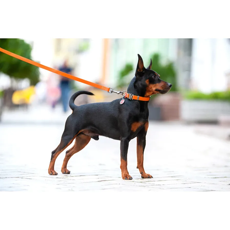 Нашийник для собак водостійкий, металева пряжка, L, помаранчевий WAUDOG Waterproof Collar