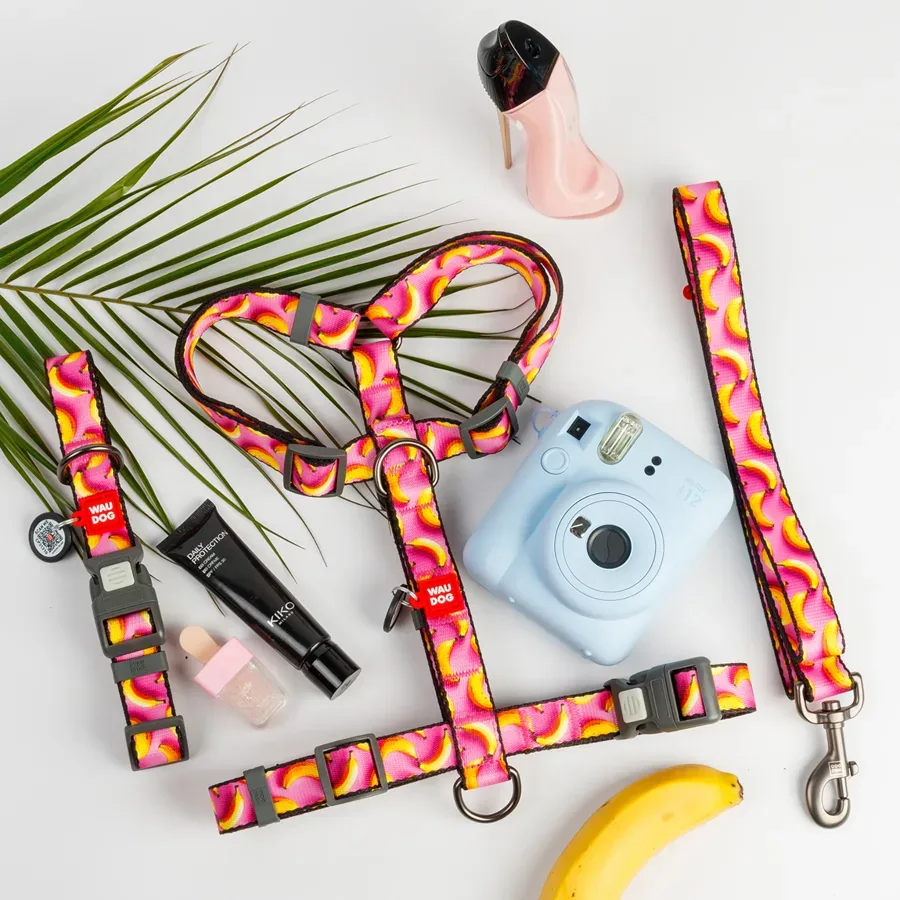 Нашийник для собак нейлоновий «Банани на рожевому», L WAUDOG Nylon Collar Bananas on Pink