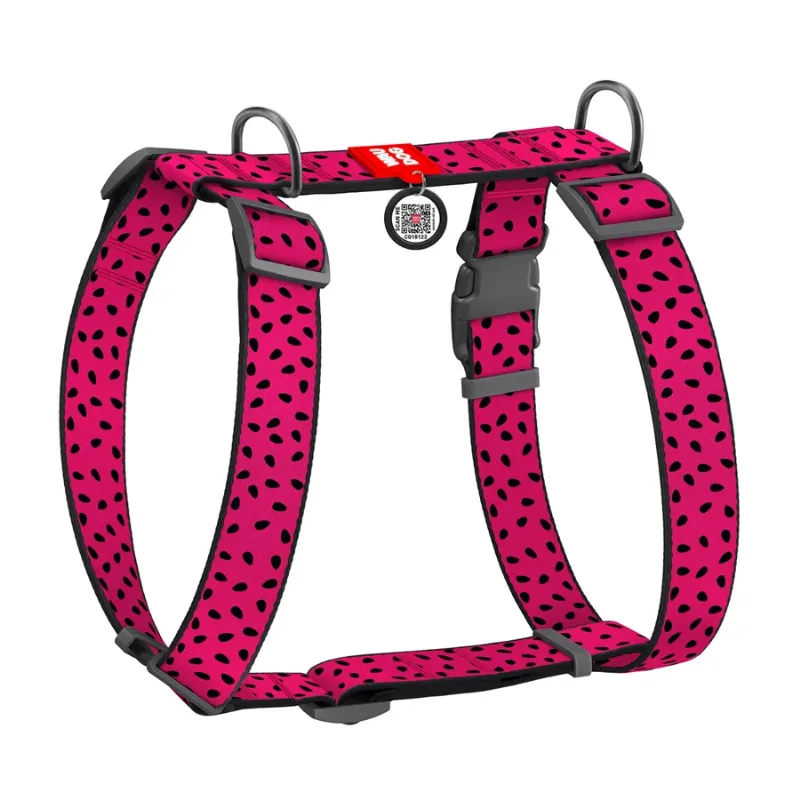 Шлея для собак анатомическая H-образная «Арбуз», XL WAUDOG Nylon Anatomic Harness Watermelon