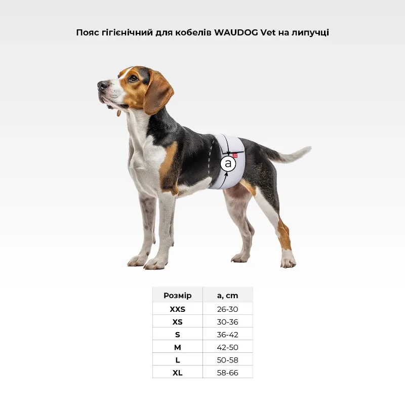 Пояс гігієнічний для кобелів на липучці, сірий, L WAUDOG Vet Belly Band