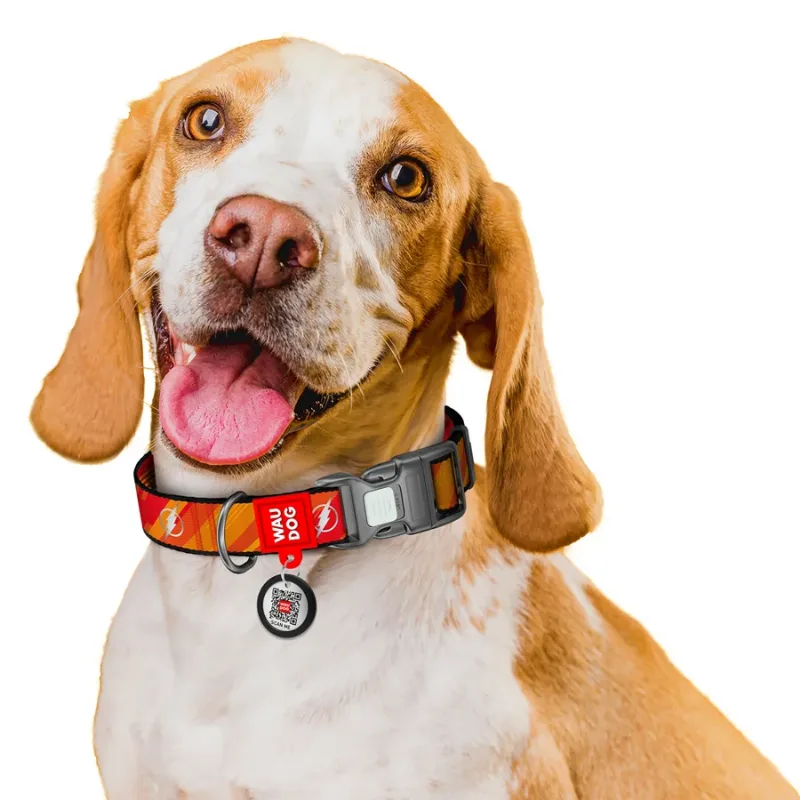 Ошейник для собак нейлоновый, светоотражающий «Флэш Лого», M WAUDOG Nylon DC Comics Collar Flash Logo
